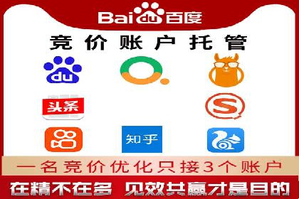 百度竞价运营的挑战与机遇：成功案例探讨
